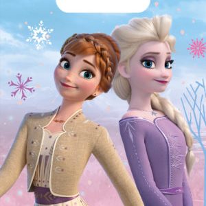 Sacos de Oferta – Frozen II Wind Spirit