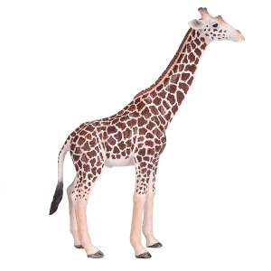 Girafa Macho Figura Colecionável