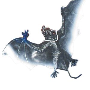 Morcego Vampiro com elástico