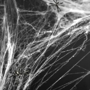 Teia de Aranha Halloween
