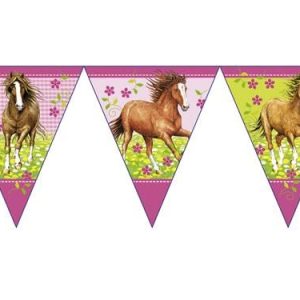 Bandeirolas  “Charming Horse”