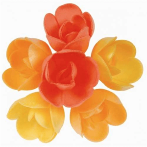 Rosa Frutos Exóticos 4cm