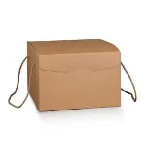 Caixa de Segurança com Cordão 29x35x19cm