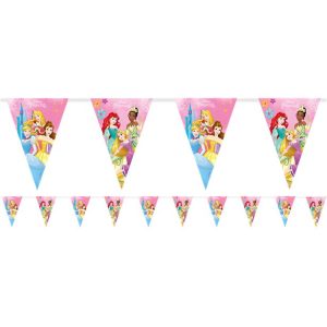 Banner Princesas Disney