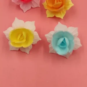 Rosa em Hóstia com Folhas