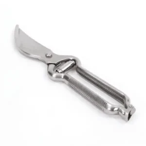 Tesoura de Leitão 26cm