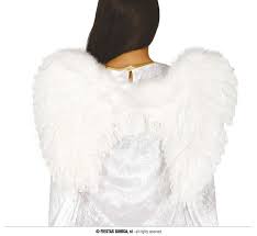 Asas de Anjo de Penas Brancas